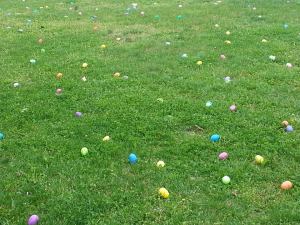 11082509_10205459710963687_5951070828719003646_n