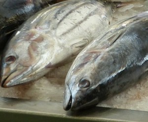 fish-market-244415_1280