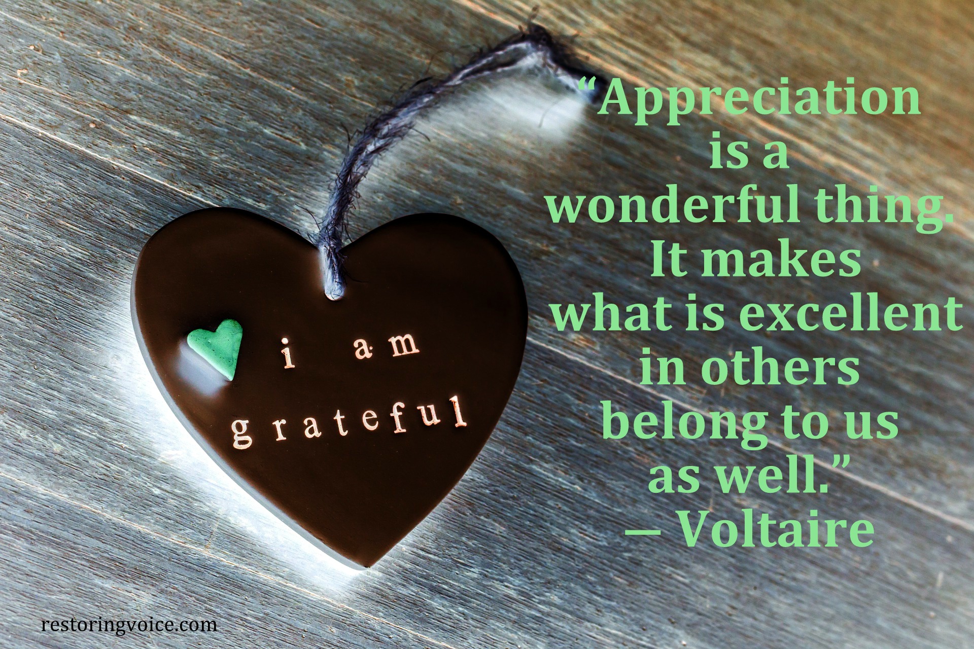 Much appreciated – Restoring Voice