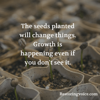 seeds