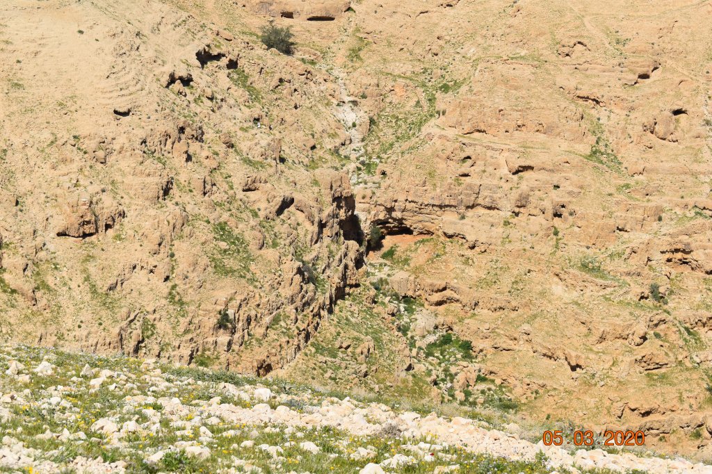 Wadi Qelt