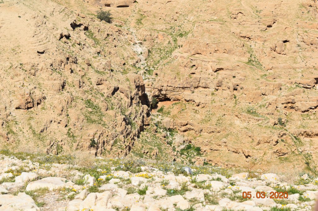 Wadi Qelt