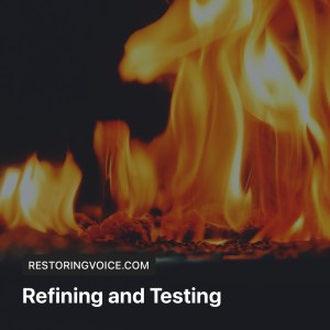 Refining and testing 
Restoring voice