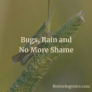 Bugs, Rain and No More Shame