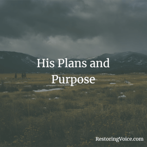 Picture of Title His Plans and Purpose