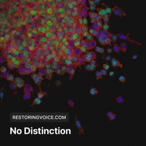 No Distinction title graphic from Restoring Voice